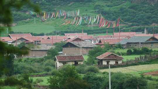 高原村庄田园森林风景