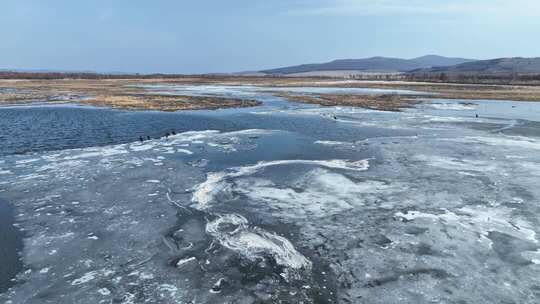 呼伦贝尔早春冰雪湿地和水鸟