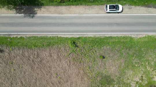 汽车道路树木乡村