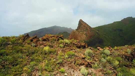 特内里费岛，山，草，岩石