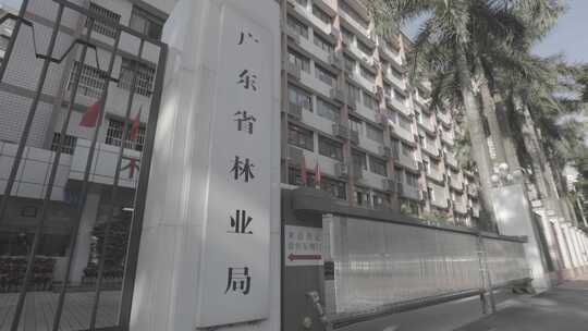【4K】广东林业局政务服务大厅大楼视频素材模板下载