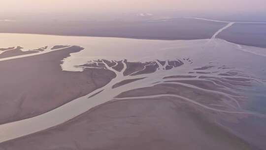 江西鄱阳湖生命之树景观空中俯瞰