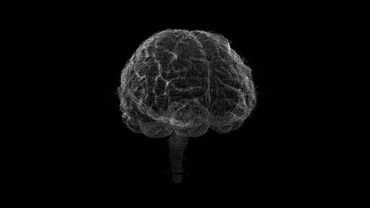 医学 大脑 脑科学 三维 脑ct1 模型视频素材模板下载