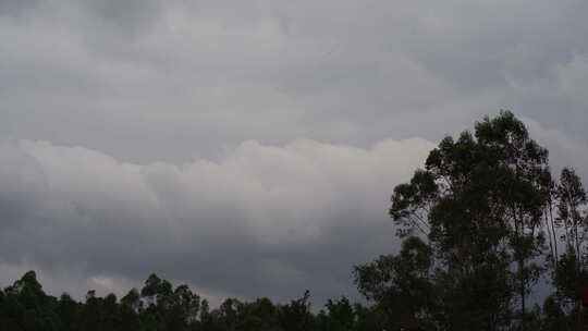 阴天森林乌云飘过树林阴雨天森林大景松树林