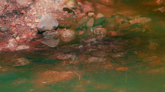 森林里的小溪流水光影石头
