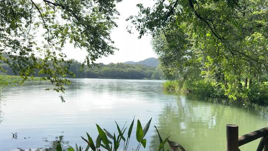 4k 杭州西湖中式园林风景