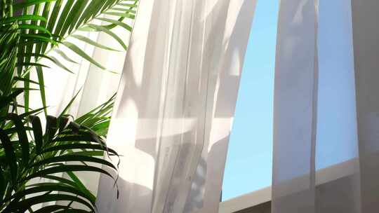 窗边绿植与白色纱帘