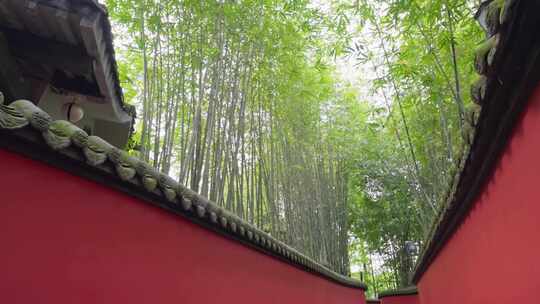 成都武侯祠博物馆红墙绿竹中国风白昼实时视频素材模板下载