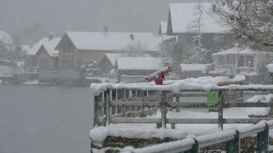村庄里的雪