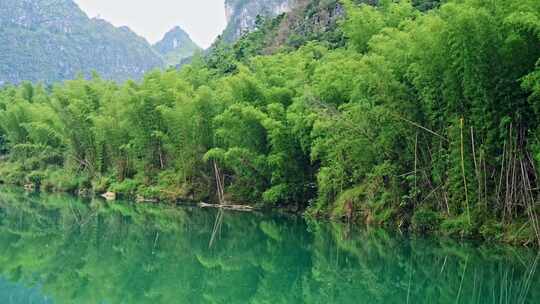 美丽江河畔竹子竹林自然风景