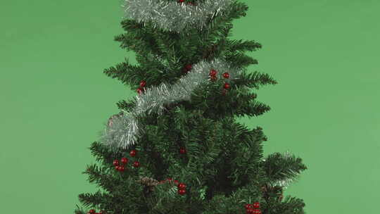 圣诞树孤立在色度绿屏背景特写