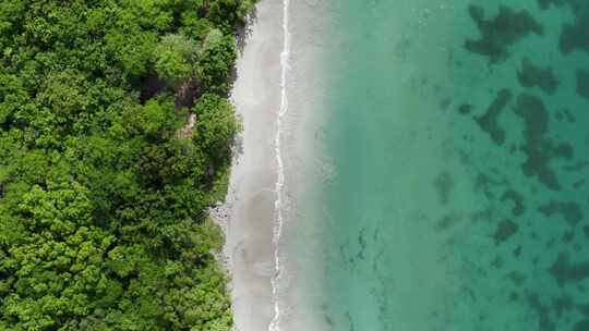 加勒比海海滩绿松石清水中游泳的妇女视频素材模板下载