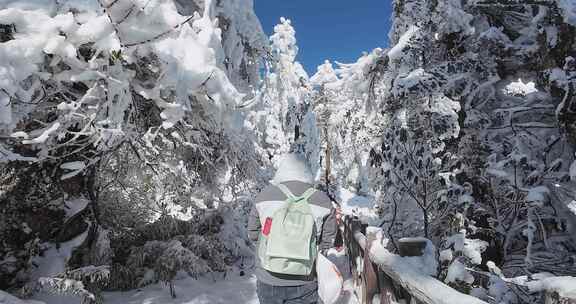 高清实拍瓦屋山冬天雪景雪山森林