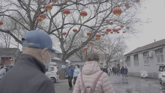 北京雪景 北京下雪