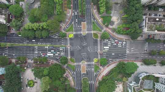俯拍城市大道绿化交通航拍
