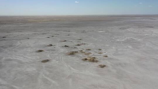 新疆塔里木盆地盐碱地荒野自然风光
