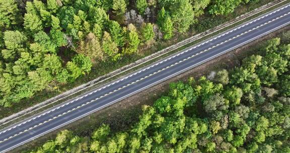 森林中的道路航拍