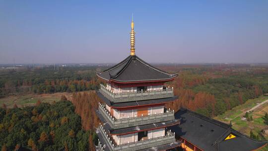 航拍上海青浦天光禅寺