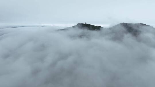 森林云海航拍山峰云雾缭绕雨后山林山脉风景