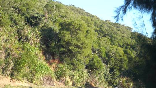 开车驾驶汽车行驶高速公路窗外风景第一视角