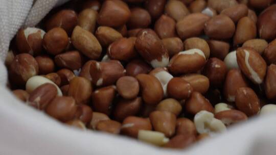 谷物豆类农产品五谷杂粮视频素材模板下载