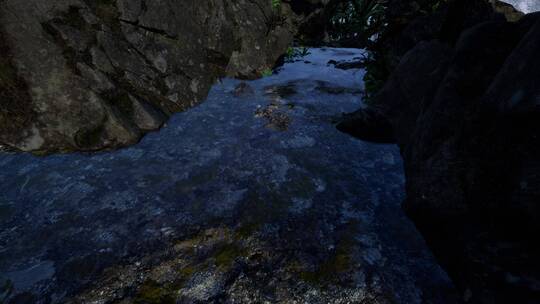 砂岩峡谷壁上的银河系