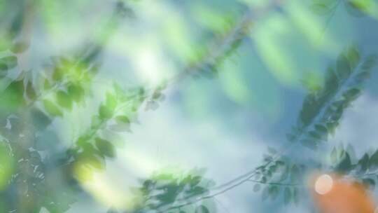 下雨天氛围雨滴涟漪自然意境雨后清新氛围