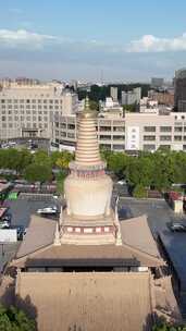 竖屏航拍甘肃张掖大佛寺土塔