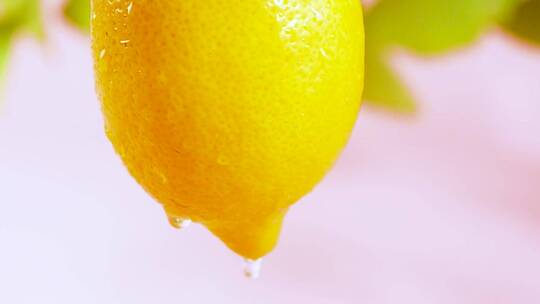 新鲜黄柠檬视频素材模板下载