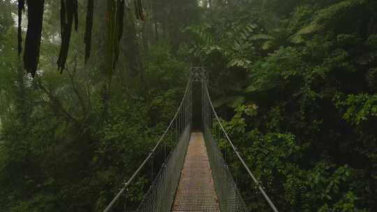 森林中的独木桥铁索桥吊桥