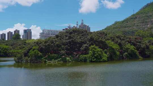 夏天的广东深圳荔林公园湖景风光
