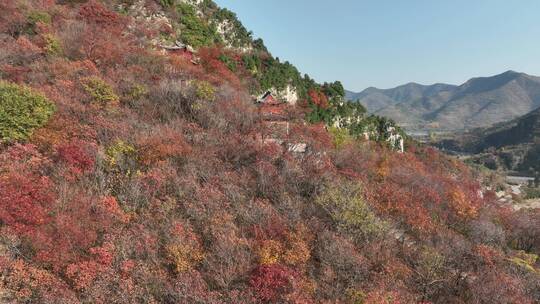 淄博市沂源县凤凰山红叶-5