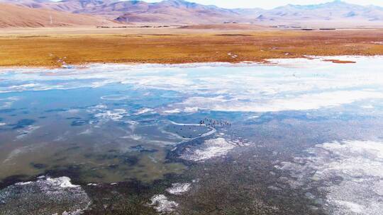 西藏湖泊视频素材模板下载