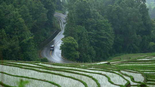 汽车行驶在梯田下山林间的道路上