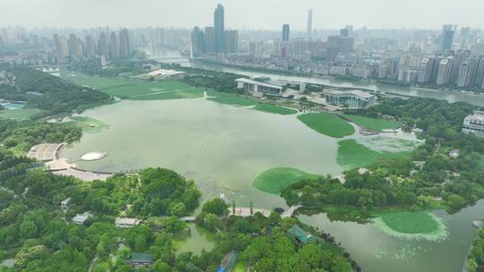 武汉月湖风景区