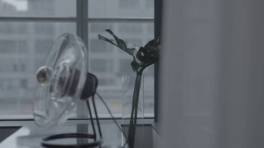 台灯在阳台上和植物变焦