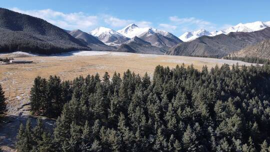 祁连山国家公园雪景