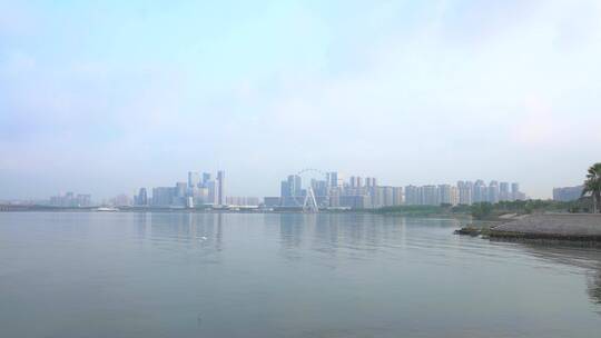 滨海建筑清晨深圳前海白鸟飞过海面