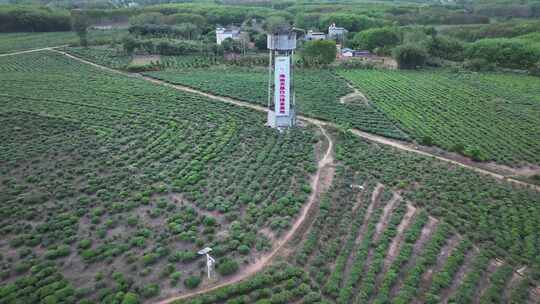 茶场水塔航拍