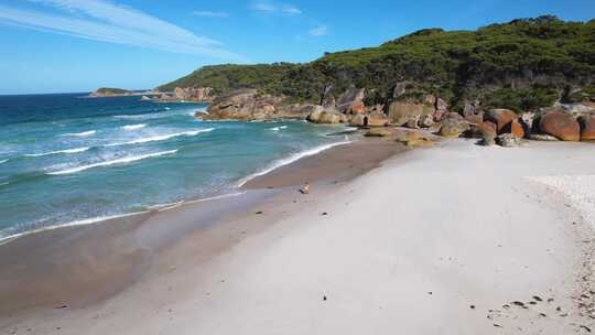 澳大利亚维多利亚州威尔逊海角白色沙滩和蓝