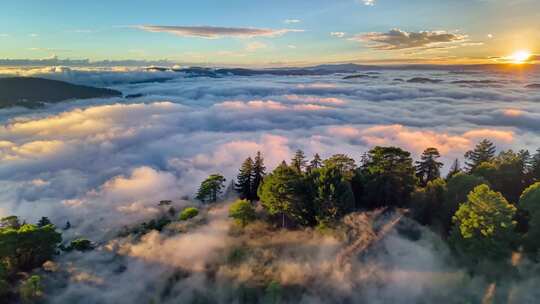 森林阳光云海森林云雾缭绕树林山大自然山峰