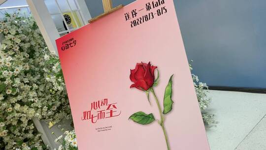 七夕节，济南街头“应急玫瑰”花朵
