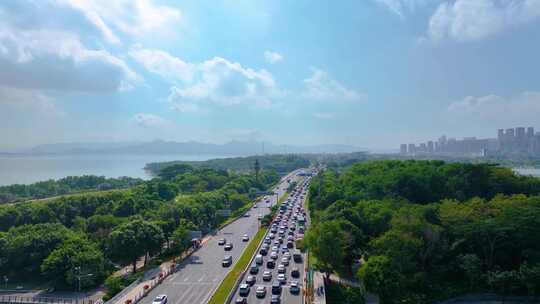 后海南山区深圳湾体育中心航拍春笋大厦中国