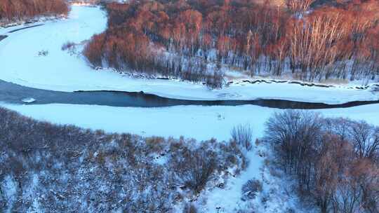 寒冬湿地河湾红柳雪景