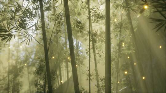 竹林与晨雾天气景观