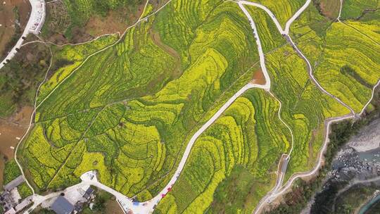 湖北恩施5A景区大峡谷绝壁花海航拍