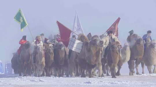 第二十届冰雪那达慕开幕式上威风驼队