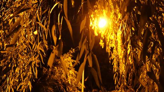 小区居民楼夜景视频素材模板下载