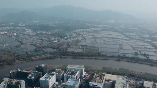 深圳福田河套视频遥望香港养殖田