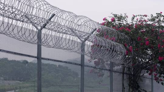 深圳香港边界警戒线边境线